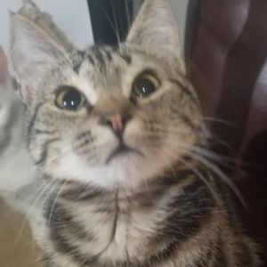 Meet your Posher, Juliana